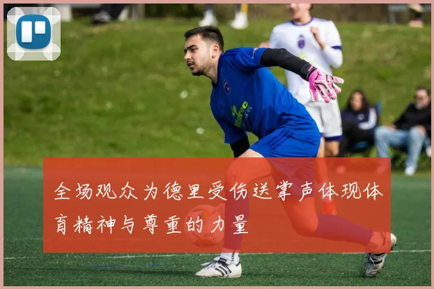 全场观众为德里受伤送掌声体现体育精神与尊重的力量